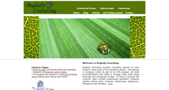 Desktop Screenshot of bugladyconsulting.com
